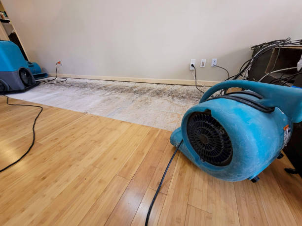 Reliable Emergency Water Removal contractor in Sandyville, OH by Hirex Water Damage