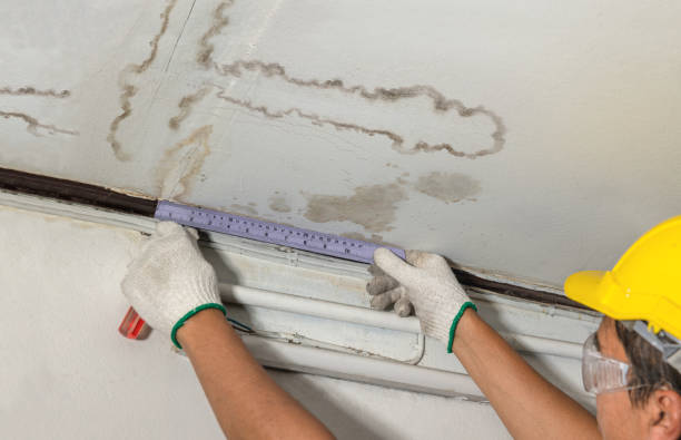 Affordable Water Damage Repair solutions in Sandyville, OH